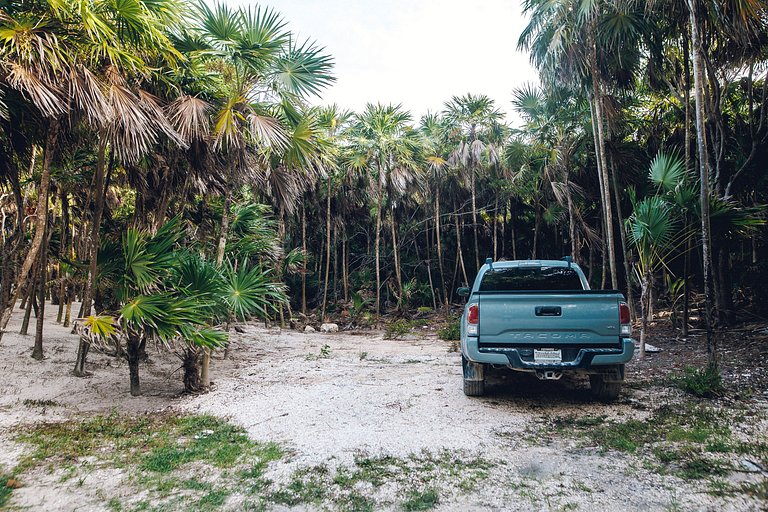 Palapa de lujo autosustentable con playa privada