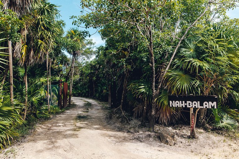 Palapa deluxe with private beach