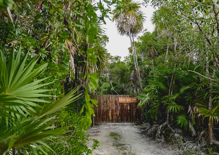 Palapa deluxe with private beach