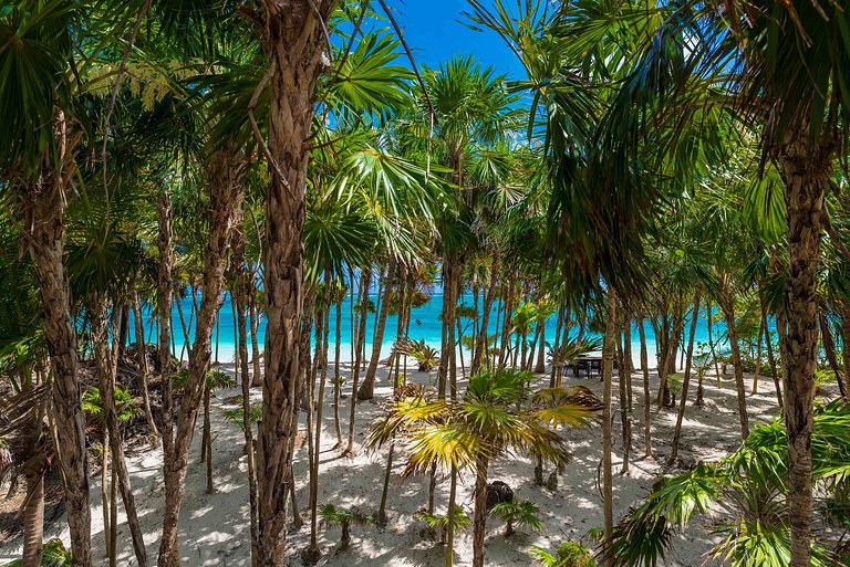 villa de lujo autosustentable con playa privada