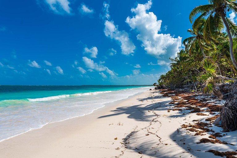 villa de lujo autosustentable con playa privada