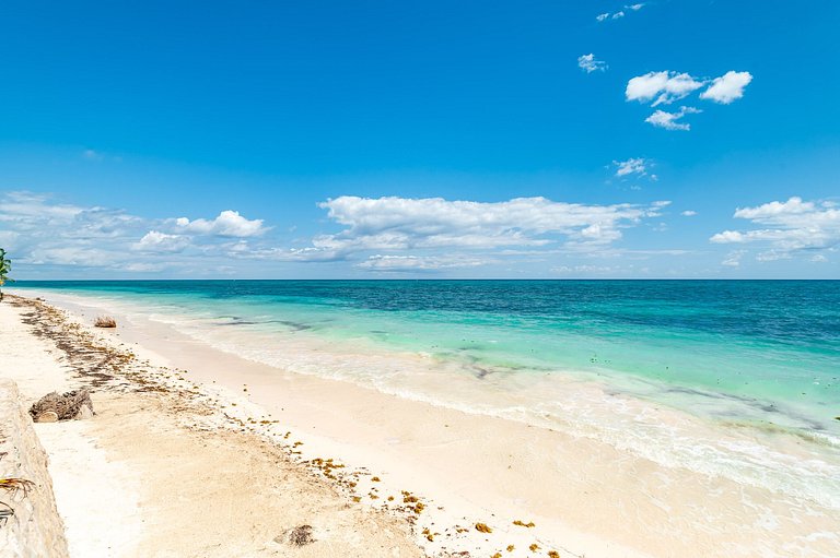 Palapa de lujo autosustentable con playa privada