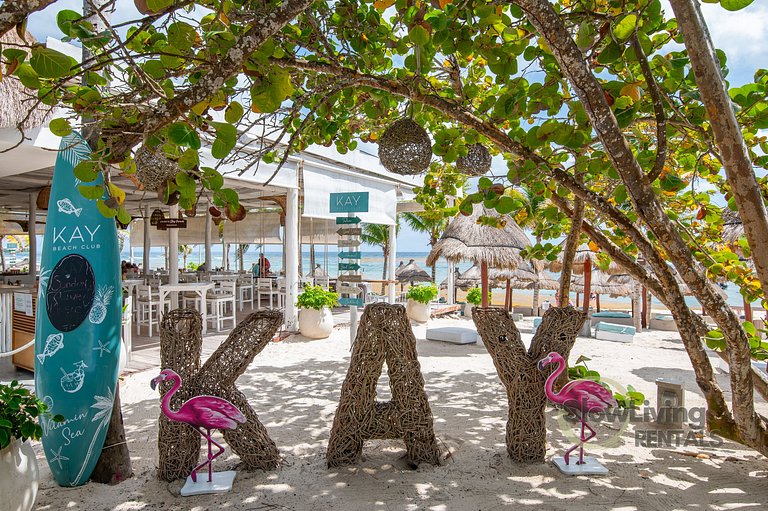 casa blue bean bahia principe tulum mexico